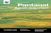 Pantanal - · PDF fileAmeaças e oportunidades Localizado no coração da América do Sul, com 158.000 km2 divididos entre Brasil, Bolívia e Paraguai, o Pantanal é a maior área