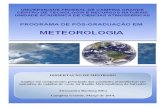 DISSERTAÇÃO DE MESTRADO Análise em componentes … Barbosa... · primeiro episódio (10-11 de maio de 2007), e (b) um cavado na área dos ventos alísios, no leste do Nordeste