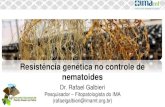 Resistência genética no controle de nematoides · Porcentagem de nematoides presentes em amostras de solo coletadas em condições de cerrado nativo e áreas agrícolas. NEMATOIDES