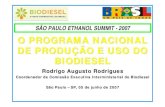 O PROGRAMA NACIONAL DE PRODUÇÃO E USO DO BIODIESEL · DE PRODUÇÃO E USO DO BIODIESEL Rodrigo Augusto Rodrigues Coordenador da Comissão Executiva Interministerial do Biodiesel
