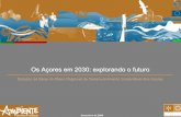 Os Açores em 2030: explorando o futuro - Técnico Lisboa · internamente coerentes nas suas relações causa-efeito. ... Qualidade do património natural: a paisagem única e de