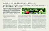 Cultura do morango em substrato: contributo para a ... · mudanças consideráveis na indústria do morangueiro ao nível das cultivares e das técnicas culturais, que conduziram