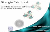 Biologia Estrutural - Laboratory of BioMolecular Systems · estruturais a serem na montagem de modelos distintos. Início Identificação de moldes Seleção de moldes ... 1000 modelos