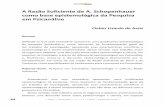 A Razão Suficiente de A. Schopenhauer como base ...pepsic.bvsalud.org/pdf/analytica/v2n3/v2n3a05.pdf · científico, do seu descobrimento e da justificativa de suas teorias, bem