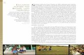 CAPA Escolas S rurais no Brasil: um retrato - epsjv.fiocruz.br poli separados/Poli13-capa.pdf · jovens do Movimento dos Trabalhadores Rurais Sem Terra (MST). Os ... uma pequena casa