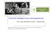Controle biológico com microrganismos - FAPESP · Laboratório de Patologia e ... Pragas com Microrganismos no Brasil Desafios da pesquisa em controle microbiano de pragas Direções