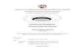 Estudo do Paradigma Computação em Nuvem - repositorio.ipl.ptrepositorio.ipl.pt/bitstream/10400.21/2375/1/Dissertação.pdf · i RESUMO Na atual conjuntura económica, onde a globalização