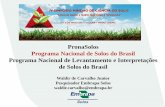 PronaSolos Programa Nacional de Solos do Brasil Programa Nacional de Levantamento e ... · 2017-05-09 · solos e de água de maneira abrangente e integrada, ... programa nacional
