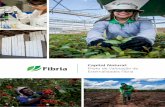 Capital Natural: Piloto de Valoração de Externalidades Fibriar2017.fibria.com.br/wp-content/uploads/2018/04/Rel... · 2018-04-26 · Boa leitura! CAPITAL NATURAL E ... A partir