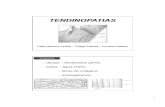 células – fibroblastos (20%) matriz – água (70%) - fibras ...fisiologic.com.br/site/wp-content/uploads/2014/10/Aula-Graduação... · TENDINITE: -Inflamação do tendão ...
