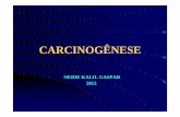 carcinogenese neide kallil - Biblioteca Virtual em Saúde MSbvsms.saude.gov.br/bvs/publicacoes/inca/carcinogenese_neide_kallil.pdf · MECANISMOS MOLECULARES DA CARCINOGÊNESE ...