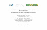 SIMULADOR DE RADIÂNCIAS DE CANAIS DE SATÉLITES NO …mtc-m16d.sid.inpe.br/col/sid.inpe.br/mtc-m19/2011/09.23.14.39/doc...remoto e modelagem atmosférica e treinamento básico na