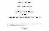 APOSTILA DE AULAS-PRÁTICAS - famportalacademico.com.br · APOSTILA DE AULAS-PRÁTICAS PROFESSORES: Antonio Celso S. R. Filho / ... 2. Existe uma regra geral que deve ser seguida