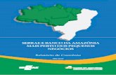 SEBRAE E BANCO DA AMAZÔNIA MAIS PERTO DOS …uc.sebrae.com.br/.../pdf/sebrae_e_banco_da_amazonia.pdf · Para facilitar o acesso a essas linhas de crédito, o Banco da Amazônia intenciona