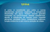 A urina é constituída por uréia e outras substâncias ...media.cetea.com.br/arquivos/Urocultura.pdf · desafio para se obter resultados de urocultura ... acima de 3 mL. A Tabela