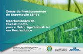 Zonas de Processamento de Exportação (ZPE) Oportunidades ...¡rio_Olinda/...Apresentacao_CZPE_v.2.pdf · Proteínas de soja, peptonas e seus derivados 23 0,01% 4.563,09 1081,32%
