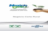 Negócio Certo Rural - Portal Senar EADead.senar.org.br/lms/webroot/uploads/senar/conteudos/42/c10_m1_2/... · 3 Negócio Certo Rural Créditos ©2011. SENAR - Serviço Nacional de