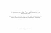 Sustentação Aerodinâmica - Depósito de Dissertações ...dited.bn.pt/31619/2606/3166.pdf · inclusivamente ligados à Física e à Aerodinâmica, que são avessos a interpretações