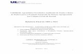 Relatório Final de 2009 a 2011research.ipni.net/research/brasil.nsf/0...1 Viabilidade Agronômico-Econômico-Ambiental de Fontes e Doses de Fósforo para a Produção Integrada de