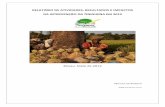 RELATÓRIO DE ATIVIDADES, RESULTADOS E IMPACTOS DA ...³rio Anual TINIS 2012-MB_MAI3 (1).pdf · FFEM Fundo Francês para o Meio Ambiente ... na defesa do ambiente e gestão sustentável