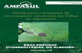 Alerta para a presença de Corynespora cassiicola em folhas ... · Aplicação aérea para controle de pragas na cultura do algodão. 05 Informativo Nº 160 Março de 2018 ... Sul,