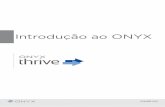 Introdução ao ONYX - onyxgfx.com · Opcional - Altere a letra do caminho da unidade se desejar instalar o Thrive num disco rígido diferente. ... Serão considerados pelo Thrive