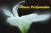 Almas Perfumadas · 2012-04-20 · Tem gente que tem cheiro de passarinho quando canta. De sol quando acorda. De flor quando ri. Ao lado delas, a gente se sente no balanço de uma
