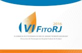 VI FitoRJ 2016 e II Encontro de Fitoterapia do Hospital ...abfit.org.br/fitorj-2016/wp-content/uploads/2016/07/4.-Fitoterapia... · Fitoterápicos- Portaria Interministerial nº 2.960.