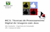 MC 5: Técnicas de Processamento Digital de Imagens com ...ionildo/pdi/ercemapi2009-pdf... · • Desenvolver uma ppq p çequena aplicação em Java para descrição de regiões.
