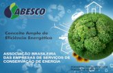 Conceito Amplo de Eficiência Energética SEDLACEC MOANA - ABESCO.pdf · CHINA - US$ 375 Bi - 5 anos em conservação de energia/redução emissões ... ATIVIDADES HUMANAS, A MAIOR