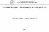 FENÔMENOS DE TRANSPORTE EXPERIMENTALsistemas.eel.usp.br/docentes/arquivos/5840921/LOQ4006/AULA1.FTE.pdf · FENÔMENOS DE TRANSPORTE EXPERIMENTAL EMENTA: Experimento 1: Estudo do