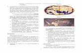 PARTE I Mapa 1 1. - Questões de Concursos · cracia contemporânea e da antiga e um dos prin- ... questão. Mapa 1 (Henricus Martellus, ... (Revista de História da Biblioteca Nacional,