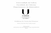 Universidade de Lisboa - repositorio.ul.ptrepositorio.ul.pt/bitstream/10451/10473/1/ulfc106025_tm_Dúnia... · A tese em questão, como o título sugere – Problemas de teoria dos
