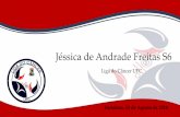 Jéssica de Andrade Freitas S6 - ligadocancer.ufc.br©ssica-ca-de... · Exenteração pélvica: bexiga, uretra, trompas, ovários e parede vaginal anterior. QT neoadjuvante: M-VAC.