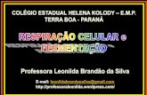 Professora Leonilda Brandão da Silva · •Por que o fermento de padaria faz o pão crescer? É realizada por muitos: −Procariontes −Protistas −Fungos Todas as Plantas ...