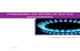 PANORAMA DO SETOR DE GLP EM MOVIMENTO - … · Fonte: Agência Nacional do Petróleo, Gás Natural e Biocombustíveis Graf. 5 – Consumo de GLP DE P13 E EMBALAGENS MENORES nos últimos