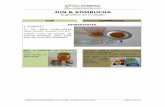JUN&KOMBUCHA - vidaprobiotica.comvidaprobiotica.com/wp-content/uploads/2016/08/JunKombucha-Sugest... · 6.Opcional: lavar a(s) bolacha(s) em água, retirando as peles ... Outra questão