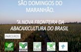 SÃO DOMINGOS DO MARANHÃO. - agricultura.gov.br · Abacaxi Pérola: 740 ha, município de São Domingos do Maranhão (IBGE, 2011) ... Mapa de precipitação pluviométrica média