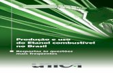 Produção e uso do Etanol combustível no Brasilarquivos.ambiente.sp.gov.br/publicacoes/2016/12/producao...8 A2.6. Quais as principais características do Programa na segunda fase?