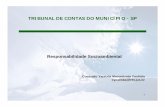 TRIBUNAL DE CONTAS DO MUNICÍPIO - tcm.sp.gov.br · O ambiente empresarial desempenha um papel importante na garantia de preservação do meio ambiente e na definição da qualidade