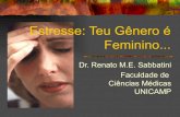 Estresse: Teu Gênero é Feminino - Sabbatini.com · Dr. Renato M.E. Sabbatini Faculdade de ... ansiedade e fobias como conseqüências ... Maiores Causas de Estresse na Mulher