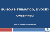EU SOU SISTEMÁTICO, E VOCÊ? UNESP-FEG · Scoping Study Find out what has been done before FFE in NPD well researched in literature Firm size is a differentiating factor Set specific