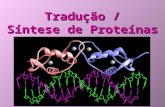 [PPT]Tradução Síntese de Proteínas - Programa de Pós ...ppgbqa.ufsc.br/files/2011/07/Aula-37-Síntese-de... · Web viewComo por exemplo a arginina que quatro códons codificam