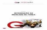 APRESENTA INTRODUÇÃO AO MERCADO DE FOREX · 1  apresenta introduÇÃo ao mercado de forex todos os segredos revelados
