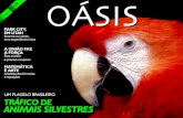 Oásis - Brasil 24/7 · acreditar que o mundo natural, ... O trafi-cante muitas vezes faz o animal ingerir drogas ou bebidas ... cifras envolvidas o tráfico da fauna