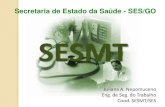 Secretaria de Estado da Sade - SES/GO .NR-17 â€“ERGONOMIA. Normas Regulamentadoras PRINCIPAIS