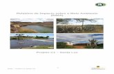 Relatório de Impacto sobre o Meio Ambiente (RIMA) · O Relatório de Impacto sobre o Meio Ambiente (RIMA) é uma síntese do Estudo de Impacto Ambiental (EIA), que analisou as condições