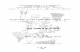 Estudo Farmacognóstico de Vernonia brasiliana (L.) Druce … · 2016-09-06 · À Dra. Eulália Ximenes, do Instituto de Antibióticos da ... J – Constante de Acoplamento MeOH