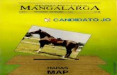cavalomangalarga.com.br · tório do Haras MAP, do criador Mauricio Pimentel, seu proprietário. ... mais essa qualidade do nosso "cavalo de seta" , transferindo-se também mais pontos
