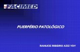 PUERPÉRIO PATOLÓGICOxa.yimg.com/kq/groups/19815347/632980047/name/Puerpério... · -Anexite (Salpingite e ... Medidas complementares como hidratação venosa, ... elevação das